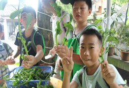 給我來(lái)個(gè)特寫