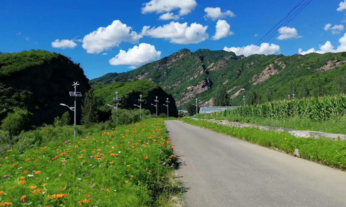 路邊風景照
