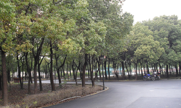 校園區(qū)域