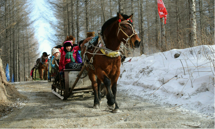 中學(xué)生東北滑雪夏令營(yíng)可以玩到什么項(xiàng)目？