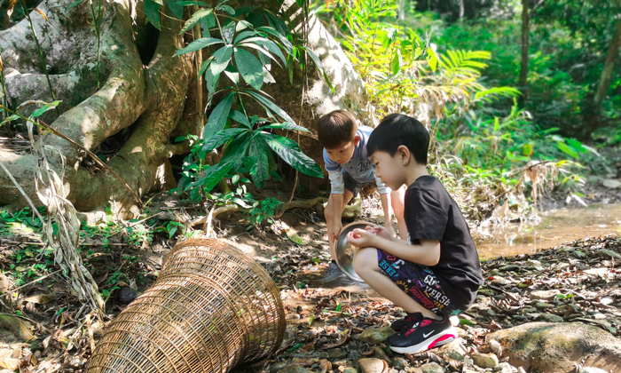 東北夏令營去哪里好