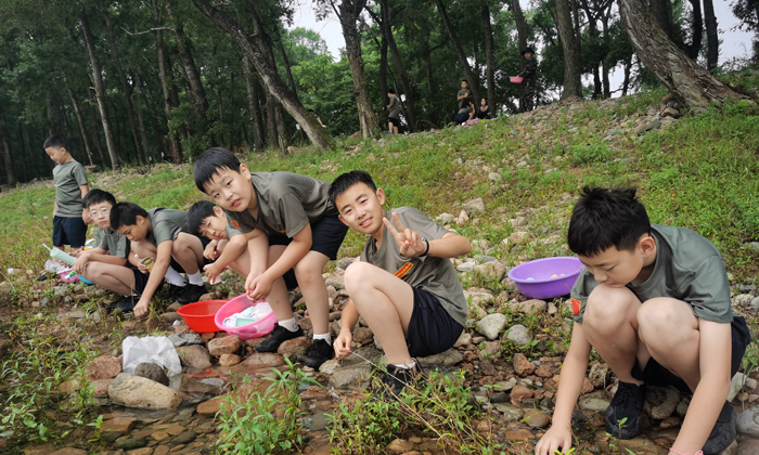 東北青少年夏令營口碑推薦