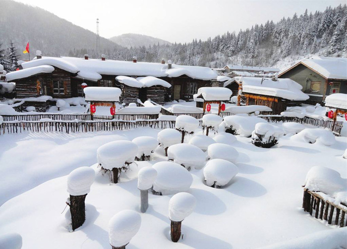 這個冬天，東北滑雪營等你來挑戰(zhàn)！