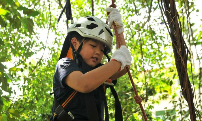 東莞夏令營怎么樣