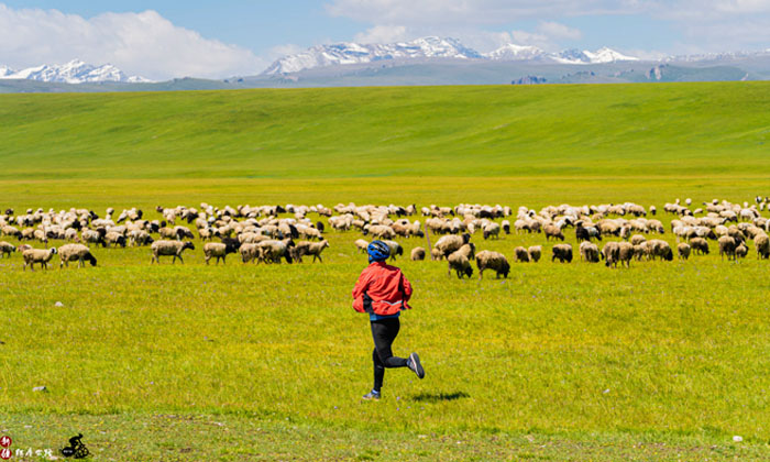 敦煌夏令營(yíng)報(bào)名哪家好
