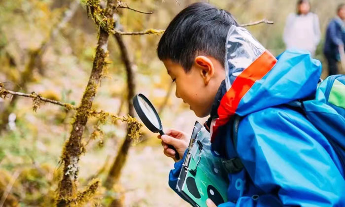 敦煌夏令營(yíng)哪家好