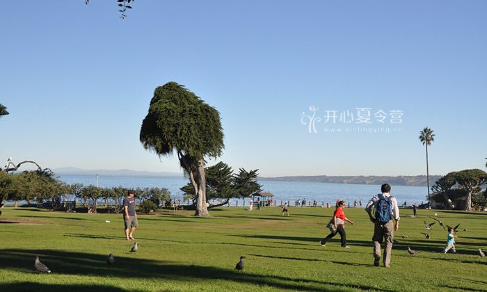 在游學(xué)中感受沙灘帶來(lái)的樂(lè)趣