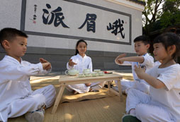 暑期峨眉武術夏令營課程目的有哪些？