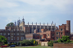 254.jpg
