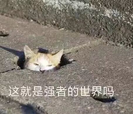 在英國，英語不好到底有多可怕？