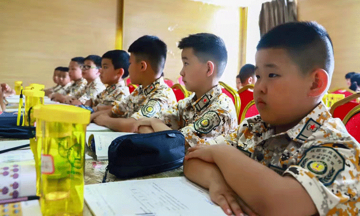 國內(nèi)正規(guī)的兒童夏令營