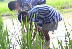 兒童夏令營的口碑怎么樣呢？