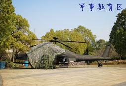 體驗(yàn)原味美國(guó)的雄鷹童子軍夏令營(yíng)