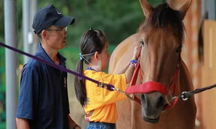 兒童心智夏令營(yíng)費(fèi)用是多少