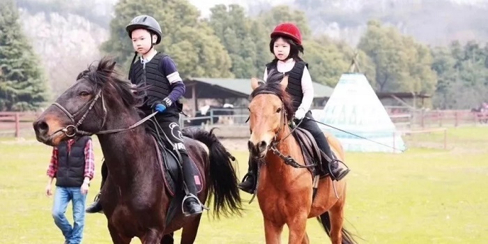 兒童研學(xué)夏令營(yíng)哪家好