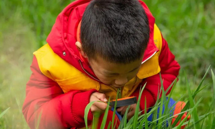 兒童研學(xué)夏令營(yíng)哪家好