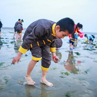 防城港夏令營游學活動的教育理念