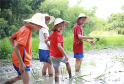參加風(fēng)行少年夏令營和孩子們一起豐富閱歷！