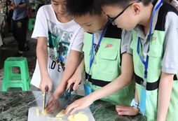 佛山夏令營需要花費(fèi)多少錢