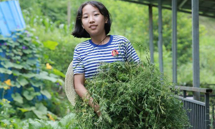 佛山夏令營機構(gòu)排名