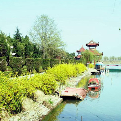 阜陽拓展夏令營為什么如此受中小學(xué)生青睞？