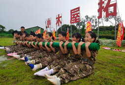 阜陽夏令營在哪里報名