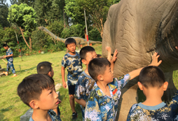 阜陽青少年夏令營是一項(xiàng)非常有意義的活動