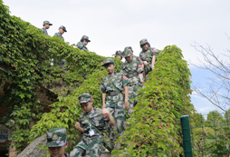 福州夏令營報名費多少？
