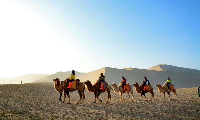 甘肅游學夏令營7天多少錢