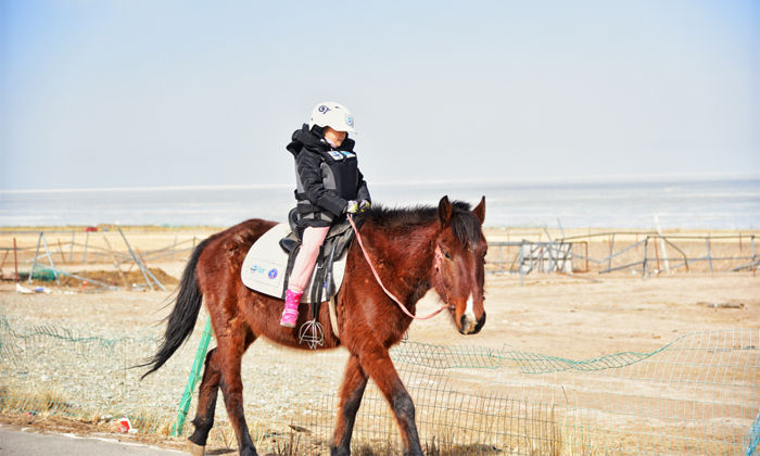 關于初高中生走沙漠戈壁的冬令營
