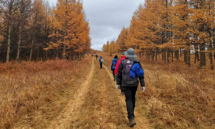 甘肅暑期夏令營哪家好