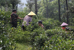 參加廣東中學生拓展夏令營培養(yǎng)孩子完整品格
