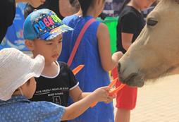 2017廣西拓展夏令營(yíng)優(yōu)勢(shì)分析