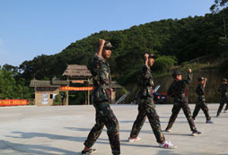 廣西富川哪里有夏令營活動？