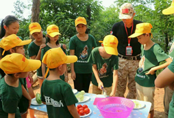 廣西夏令營(yíng)報(bào)名的基本流程詳解