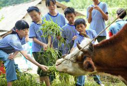 廣州青少年報(bào)名夏令營需要注意什么？