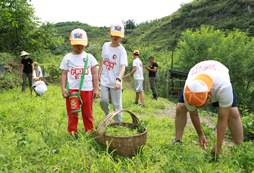 廣州有冬令營活動嗎？正規(guī)線路費(fèi)用一覽