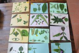 廣州小升初英語(yǔ)夏令營(yíng)的特色