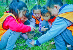 貴州有哪幾種夏令營