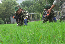 暑假國防教育夏令營活動有哪些