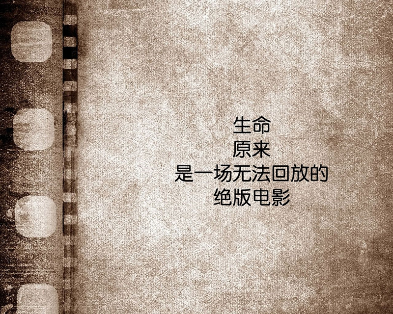 timg (23)_副本.jpg