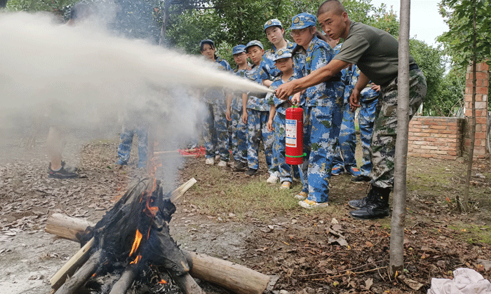 國內夏令營價格