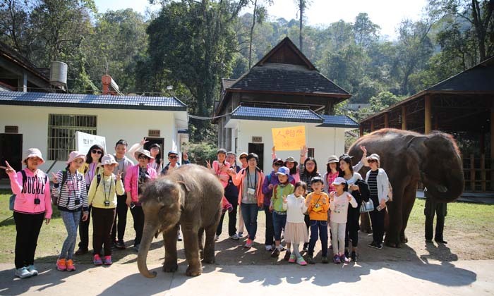 親子夏令營收費