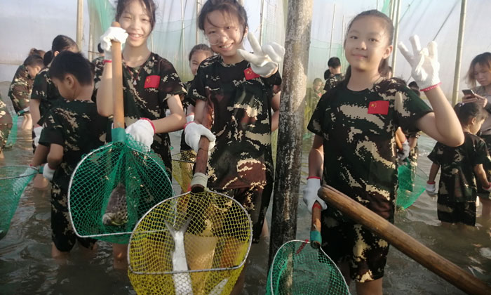 國內(nèi)夏令營有哪些