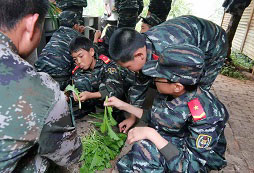 國內(nèi)有哪些夏令營活動