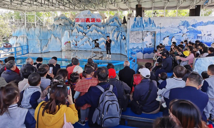 國內(nèi)有哪些夏令營