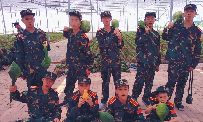 國內(nèi)夏令營價格