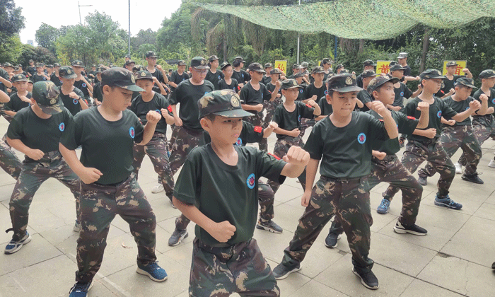 國內(nèi)有名的夏令營