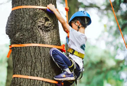 國(guó)內(nèi)夏令營(yíng)怎么樣呢？