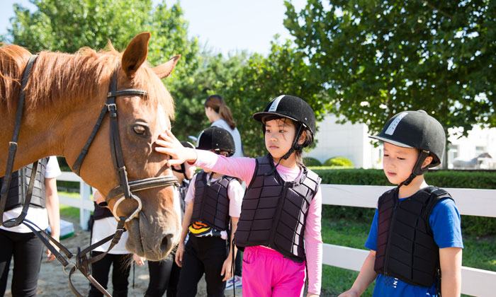 國內(nèi)夏令營哪個好